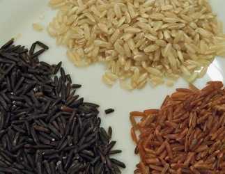 Les bienfaits du riz sur l'organisme
